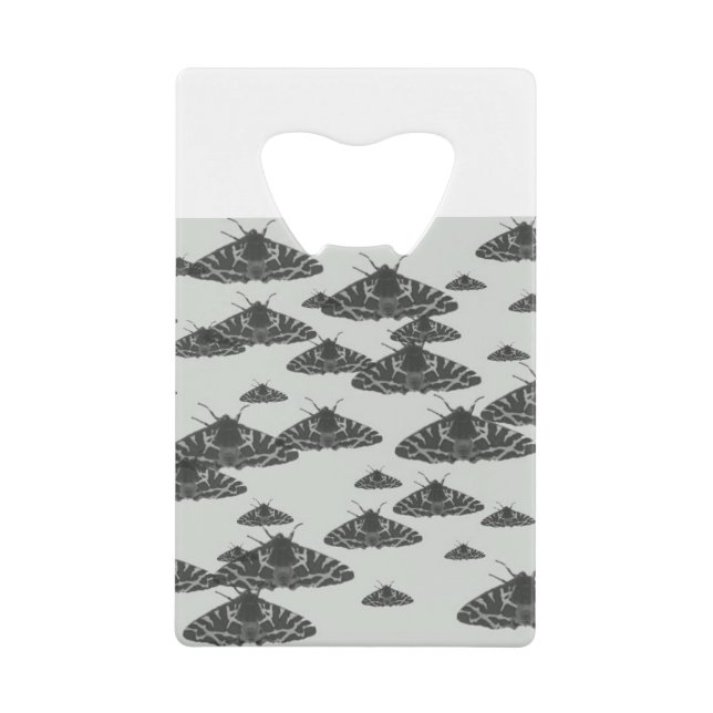 Moth at night lurking in the midnight (Front)