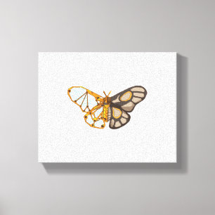 Moth Butterfly Dragonfly Insect Canvas Print