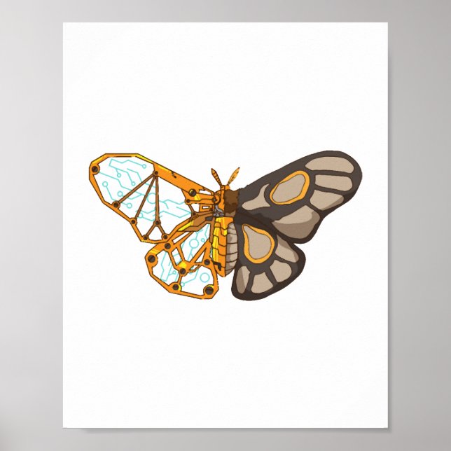 Moth Butterfly Dragonfly Insect Poster (Front)