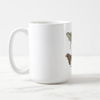 Moth Collection Vintage Entomology Dark Cottagecor