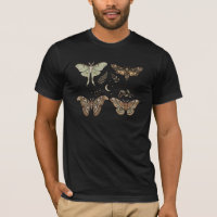 Moth Collection Vintage Entomology Dark Cottagecor