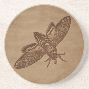 Moth Engraving on Aged Paper Coaster