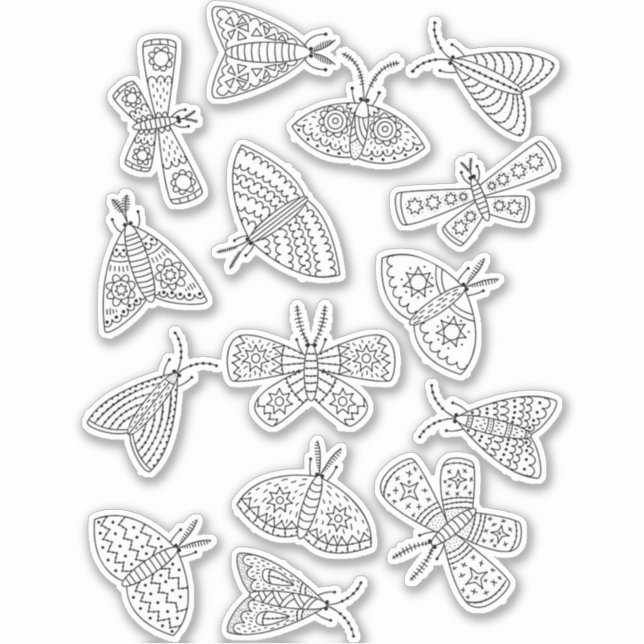 Moth Line Art Drawing (Front)