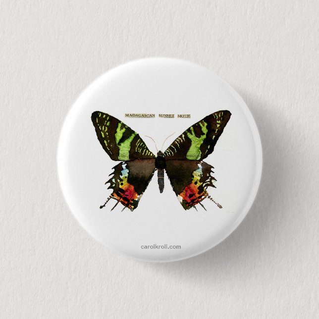 Moth: Madagascan Sunset Moth 3 Cm Round Badge (Front)