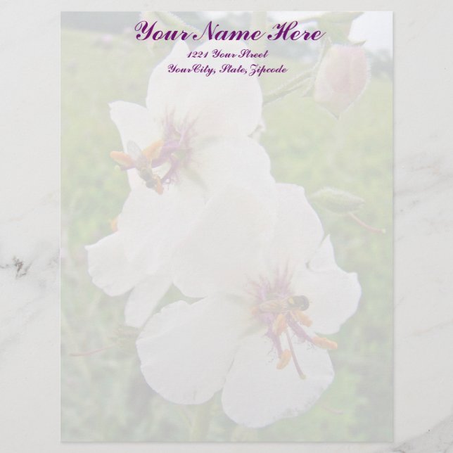 Moth Mullein Wildflower Letterhead (Front)