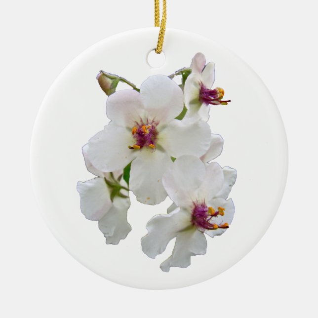 Moth Mullein Wildflower Ornament (Front)