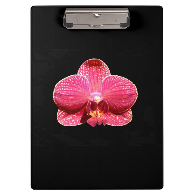 Moth Orchid Clipboard (Front)
