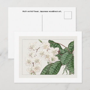 Moth orchid flower, Japanese woodblock art.   Postcard