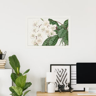 Moth orchid flower, Japanese woodblock art. Poster