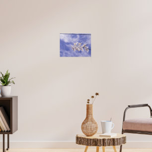 Moth Orchid Poster