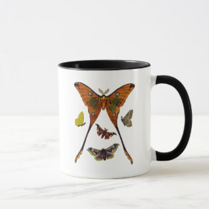 Moth Plate 2 Mug