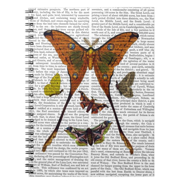 Moth Plate 2 Notebook (Front)