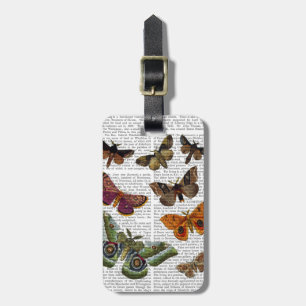 Moth Plate 3 Luggage Tag