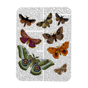 Moth Plate 3 Magnet