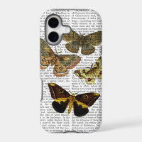 Moth Plate 4