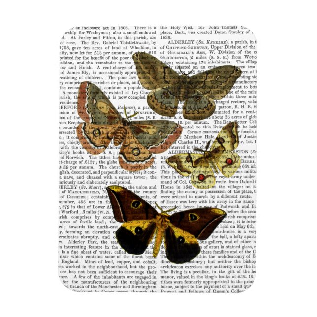 Moth Plate 4 Magnet (Vertical)