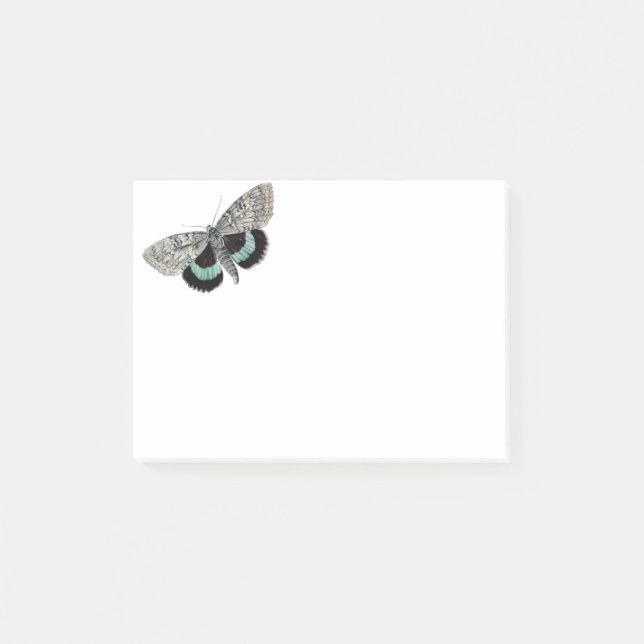 Moth vintage illustration post-it notes (Front)