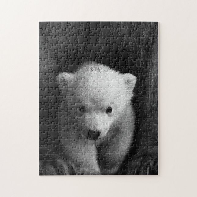 Mother and Baby Animal Bear Photography Jigsaw Jigsaw Puzzle (Vertical)
