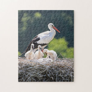 Mother and Baby Animal Bird Photography Animal Jigsaw Puzzle