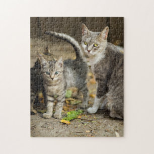 Mother and Baby Animal Cat Photography Animal Jigsaw Puzzle