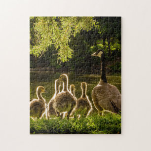 Mother and Baby Animal Duck Photography Animal Jigsaw Puzzle