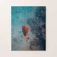 Mother and Baby Animal Fish Photography Animal