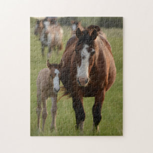 Mother and Baby Animal Horse Photography Animal Jigsaw Puzzle