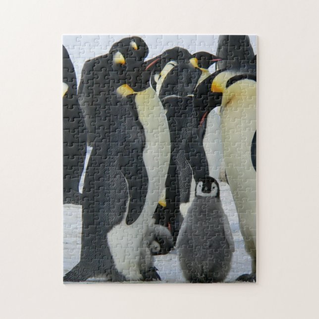 Mother and Baby Animal Penguin Photography Animal Jigsaw Puzzle (Vertical)