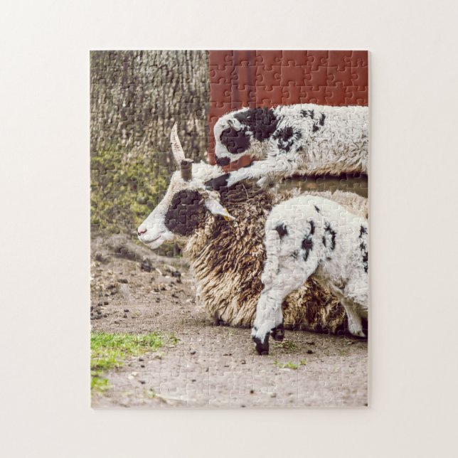 Mother and Baby Animal Photography Jigsaw Puzzle (Vertical)