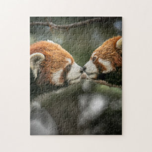 Mother and Baby Animal Red Bear Photography Animal Jigsaw Puzzle