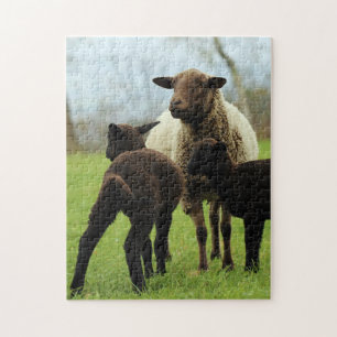 Mother and Baby Animal Sheep Photography Animal Jigsaw Puzzle