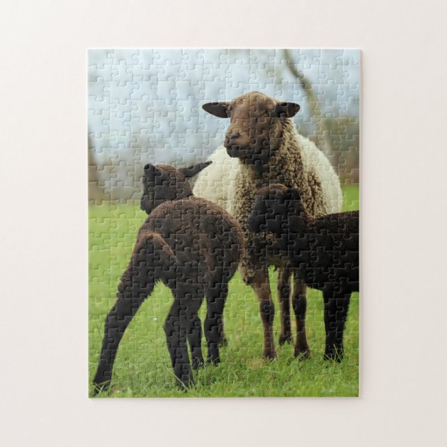 Mother and Baby Animal Sheep Photography Animal Jigsaw Puzzle (Vertical)