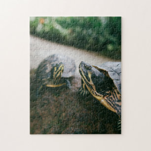 Mother and Baby Animal Turtle Photography Animal Jigsaw Puzzle