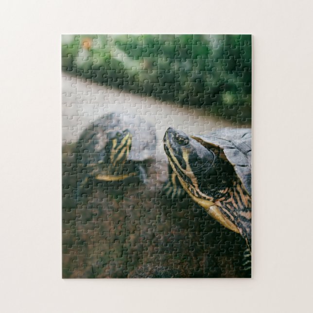 Mother and Baby Animal Turtle Photography Animal Jigsaw Puzzle (Vertical)