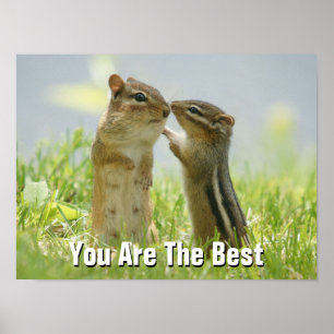 Mother And Baby Chipmunk Poster