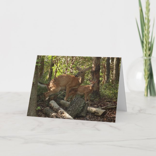 Mother and Baby Deer at Shenandoah National Park Card (Front)