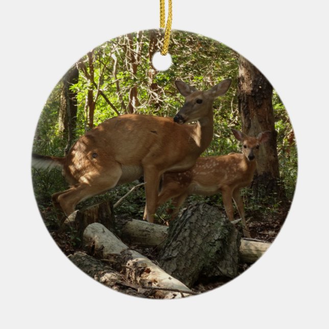 Mother and Baby Deer at Shenandoah National Park Ceramic Tree Decoration (Front)