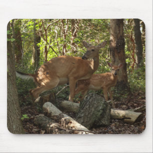 Mother and Baby Deer at Shenandoah National Park Mouse Mat