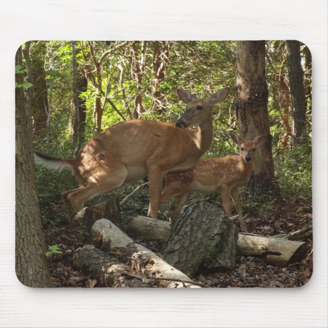 Mother and Baby Deer at Shenandoah National Park Mouse Mat (Front)