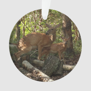 Mother and Baby Deer at Shenandoah National Park Ornament