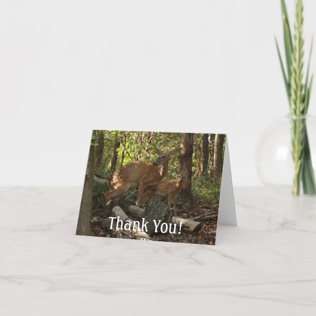 Mother and Baby Deer at Shenandoah National Park Thank You Card (Front)