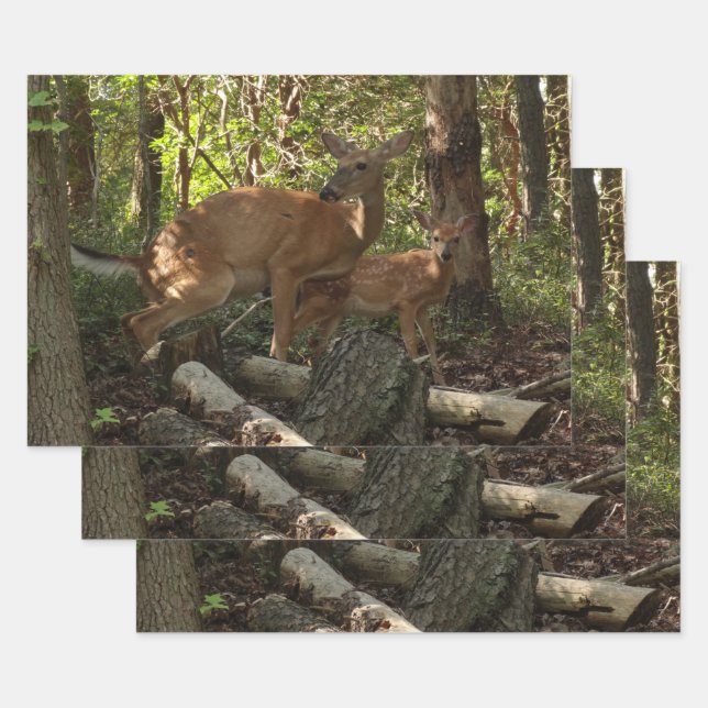 Mother and Baby Deer at Shenandoah National Park Wrapping Paper Sheet (Set)