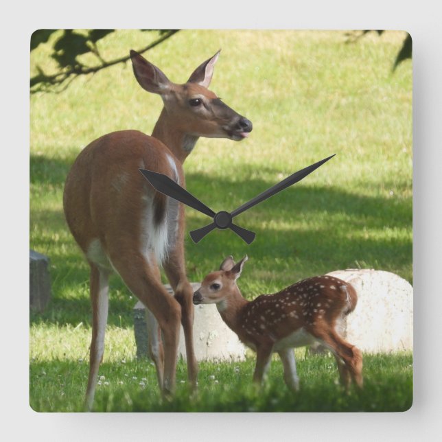 Mother and Baby Deer  Square Wall Clock (Front)