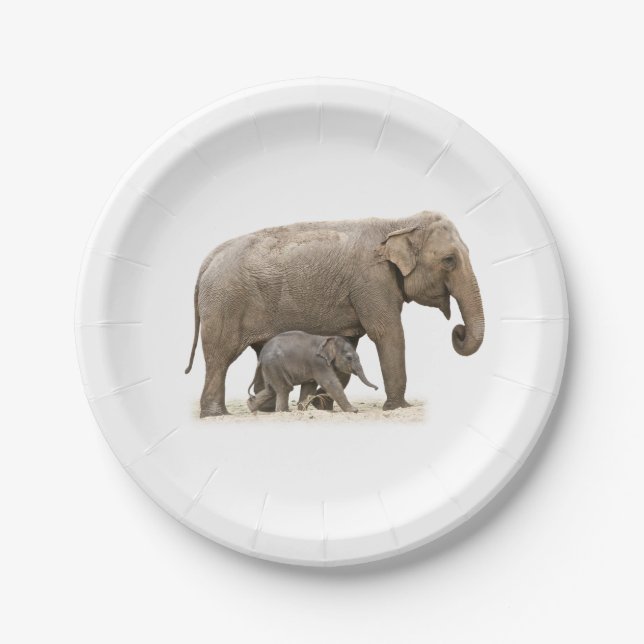 Mother and Baby Elephant Paper Plate (Front)