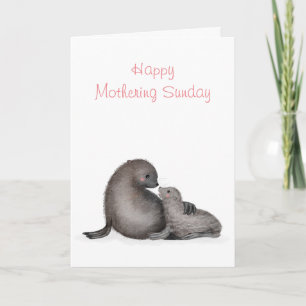 Mother and baby fur seal Mothering Sunday card
