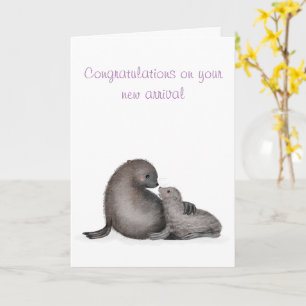 Mother and baby fur seal new baby card (purple)