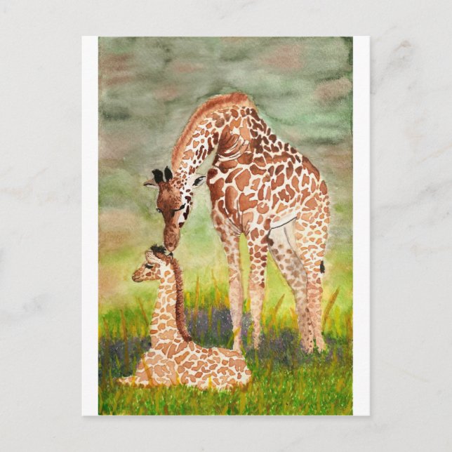 Mother and Baby Giraffes Postcard (Front)
