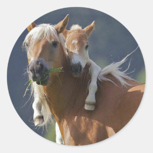 Mother and Baby Horse Classic Round Sticker