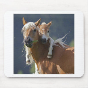 Mother and Baby Horse Mouse Mat