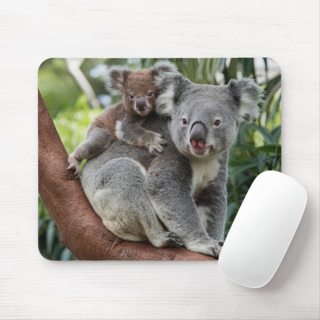 Mother and Baby Koala Bear Mouse Mat (With Mouse)